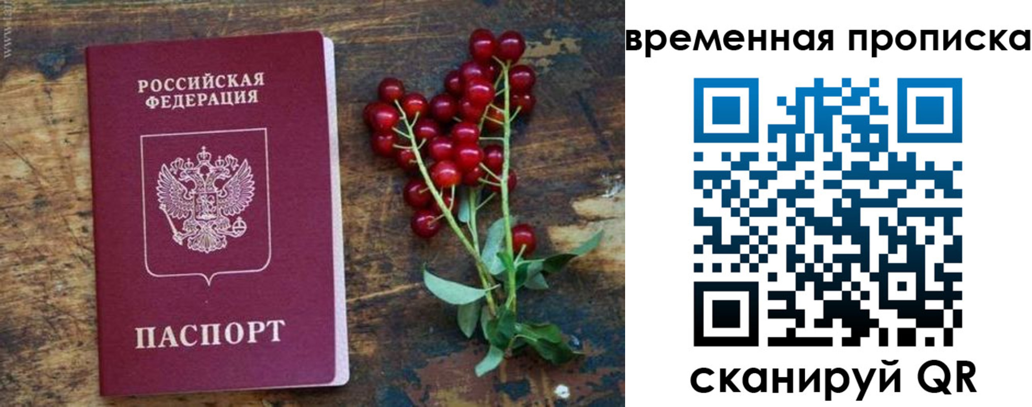 временная регистрация гарантия в Выксе